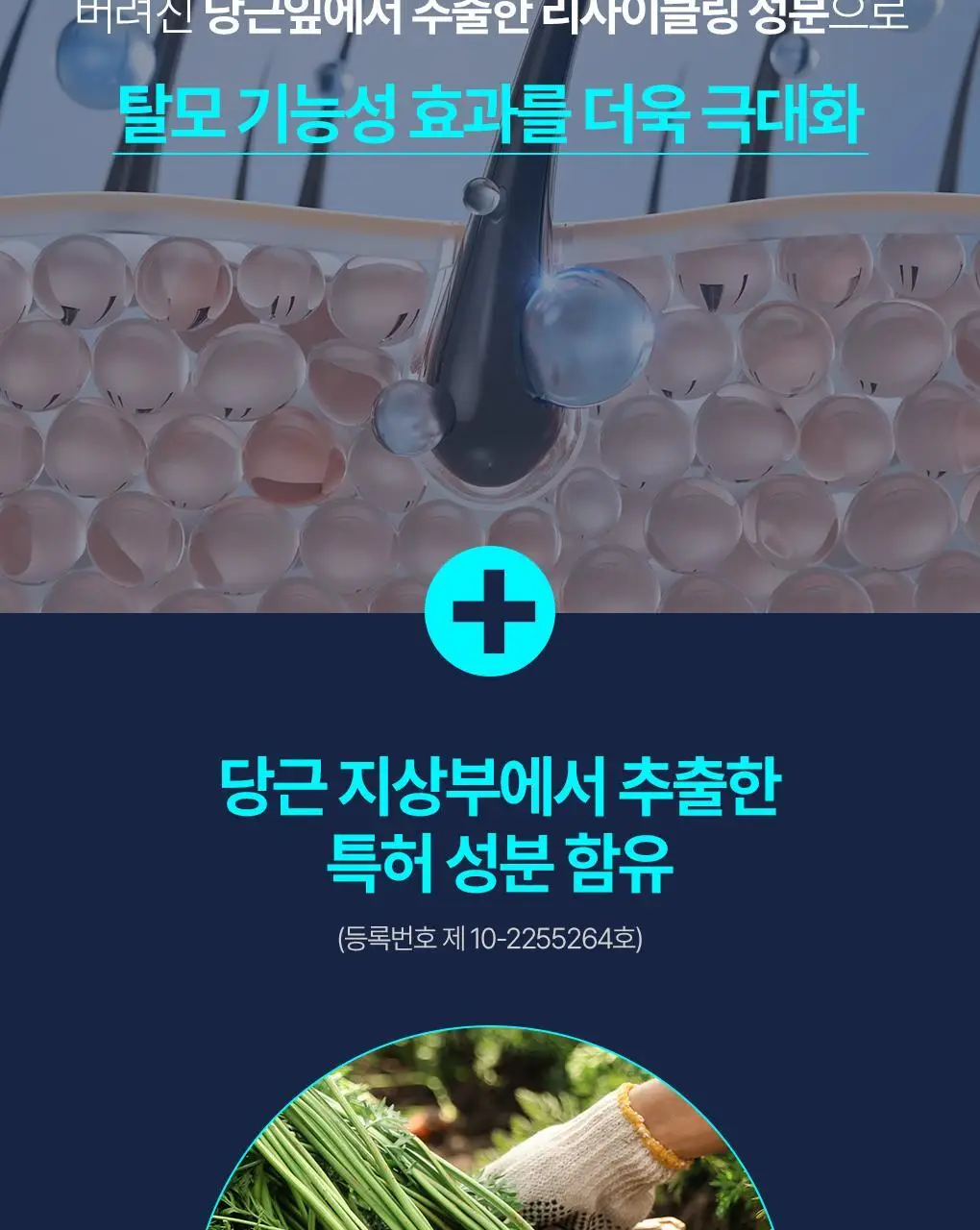 [백호PICK]트리셀 데이/나이트 콜라겐 샴푸 증정 기획 (360ml+120ml) 택 1 상세페이지 17